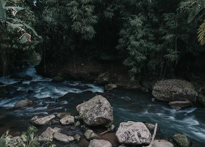 Aksha Riverside Ubud 3*